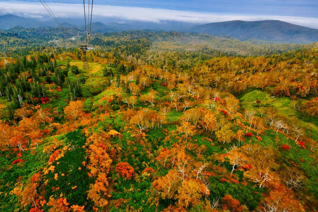 1、北海道でも屈指の大自然のパノラマビュー！紅葉を北海道最高峰から見下ろす「旭岳ロープウェイ」