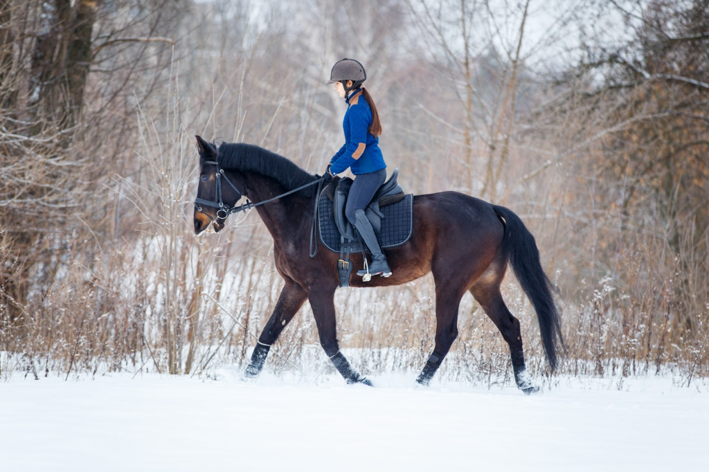 1、雪原を走る乗馬体験！「クラークホースガーデン」