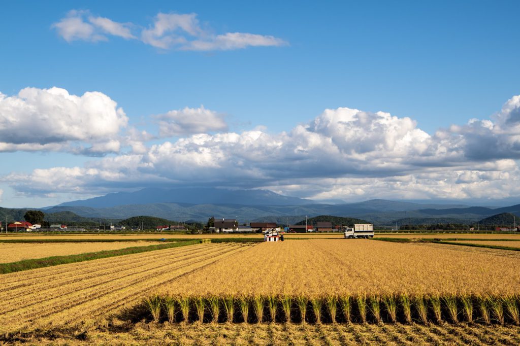 【北海道の宿探し情報】ツーリングするならアクセスしやすい「比布町」を拠点に！
