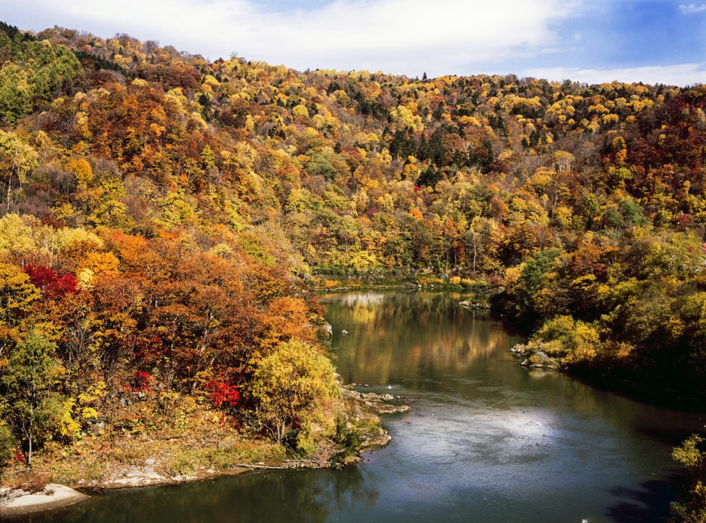 2、鮮やかに色づく雄大な自然。アイヌ民族の聖地「神居古潭（カムイコタン）」