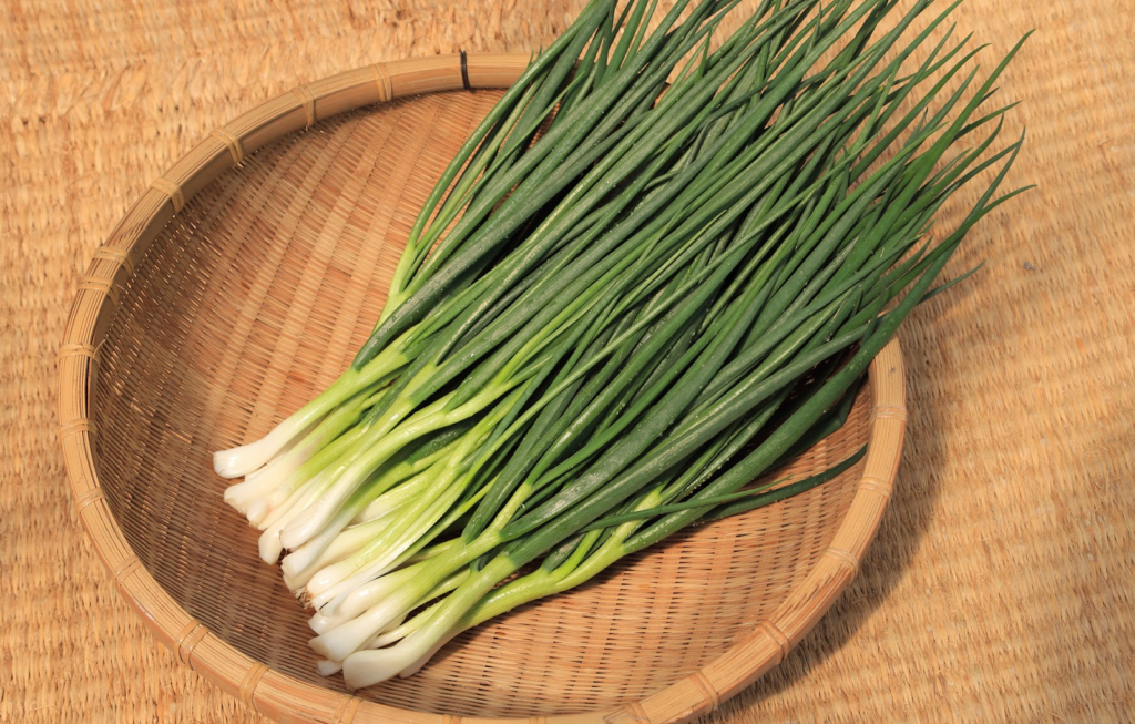 3.マツコの知らない世界で話題沸騰!比布町の「千本ネギ」