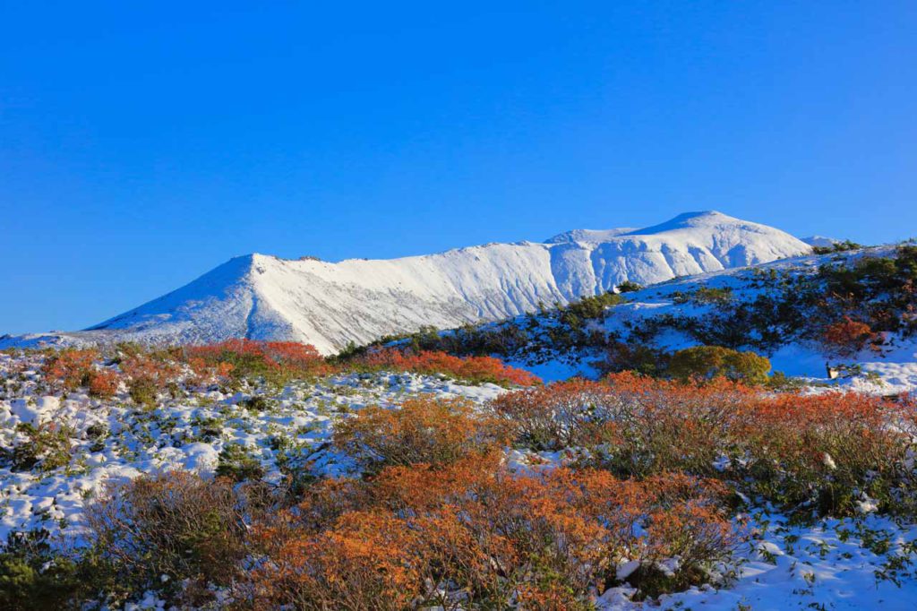 【一年中楽しめる】大雪山を満喫する観光の仕方を地元民が教えます