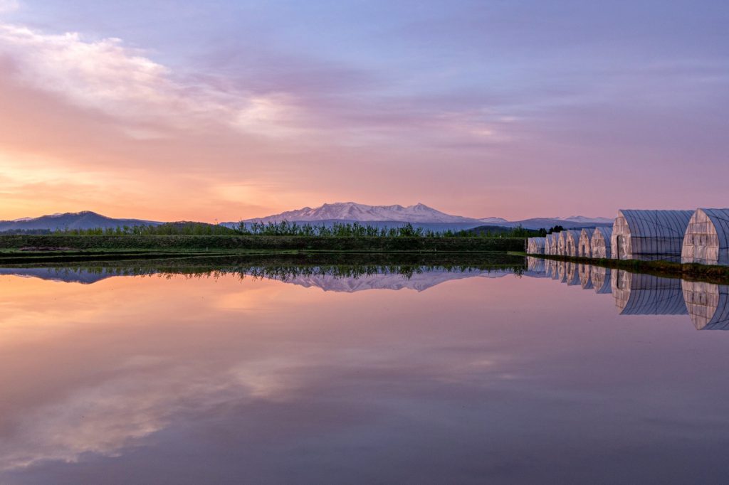 適度な田舎がちょうどいい。比布町ってどんな町?住んでいる人に実際に聞いてみた