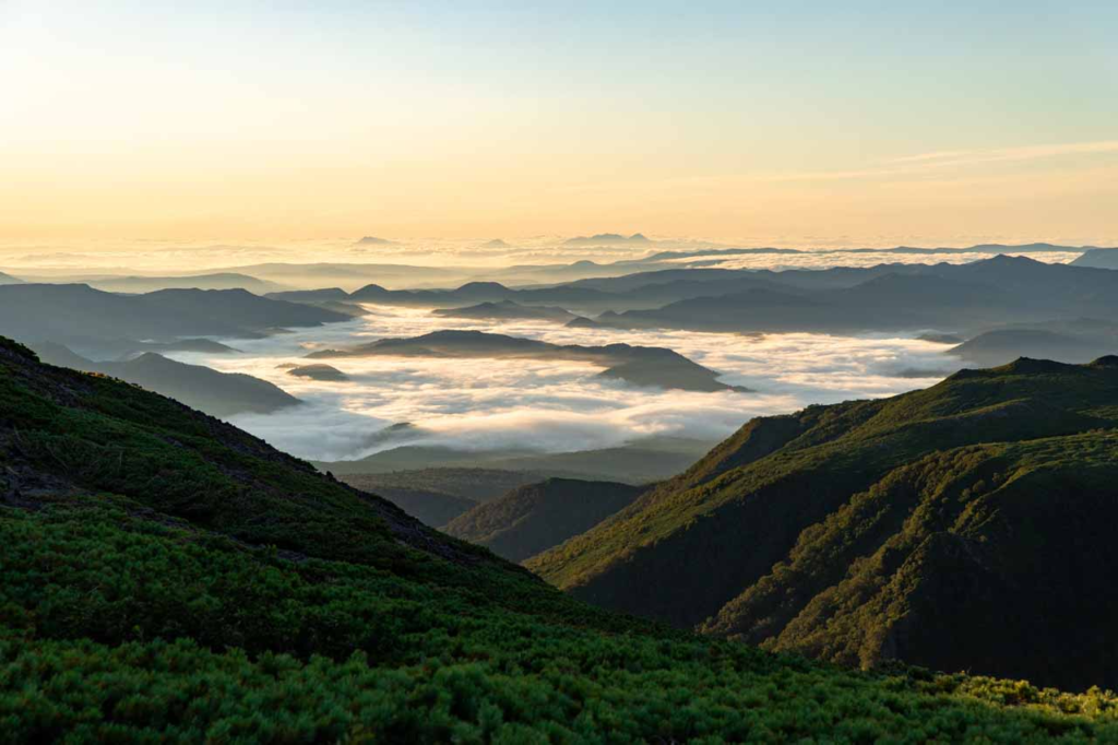 2.りんゆう観光：雲海ウォッチング