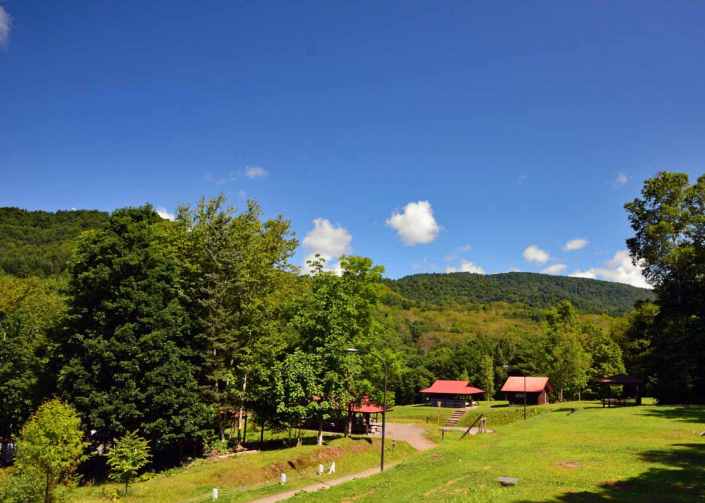 旭川市21世紀の森