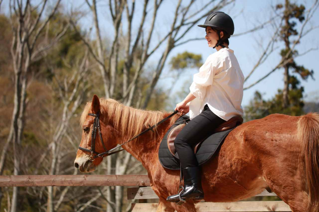 クラースホースガーデンで乗馬体験