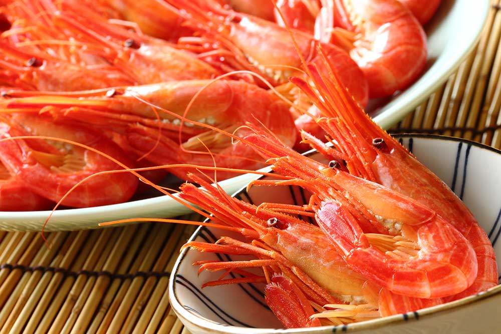 北海シマエビ