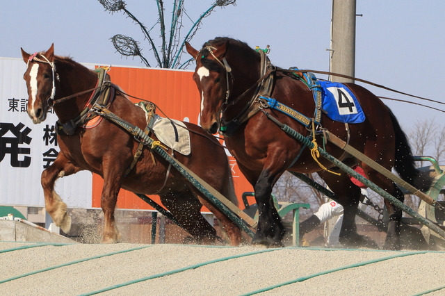 ばんえい競馬 10:00~12:00