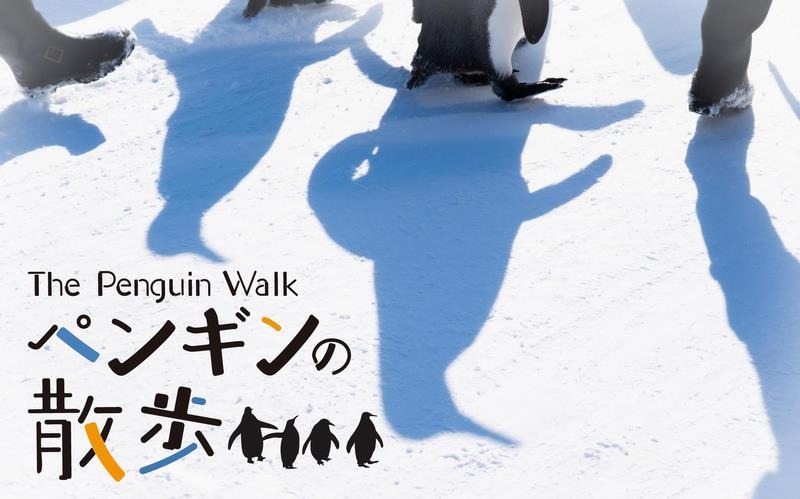 ペンギンの散歩
