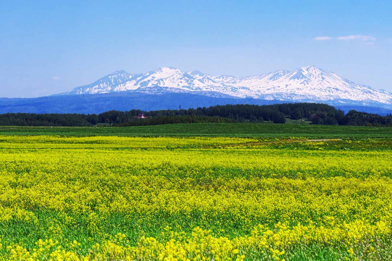 春の大雪山観光でおすすめのスポット5選と注意点を地元の温泉宿が解説 ホテル良佳プラザ 遊湯ぴっぷ｜北海道旭川観光比布町人工温泉