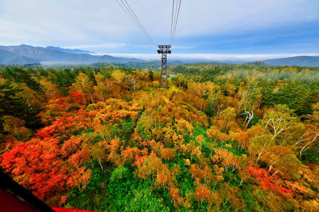1.旭岳ロープウェイで日本一早い紅葉を楽しむ