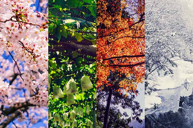旭川周辺のアクティビティを季節別に8つ紹介！北海道の四季を楽しみましょう！