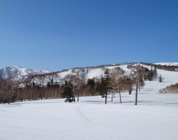 札幌から日帰りで行けるスキー場6選！家族連れや初心者にもおすすめ