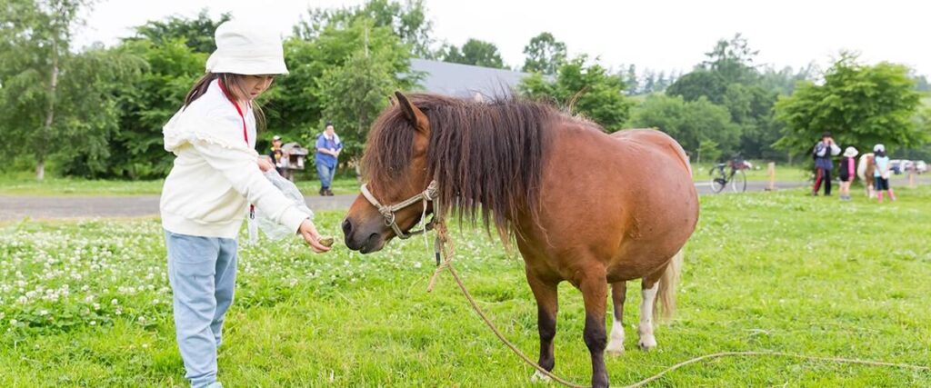 3、北海道の動物たちと触れ合える「ファームズ千代田ふれあいファーム」